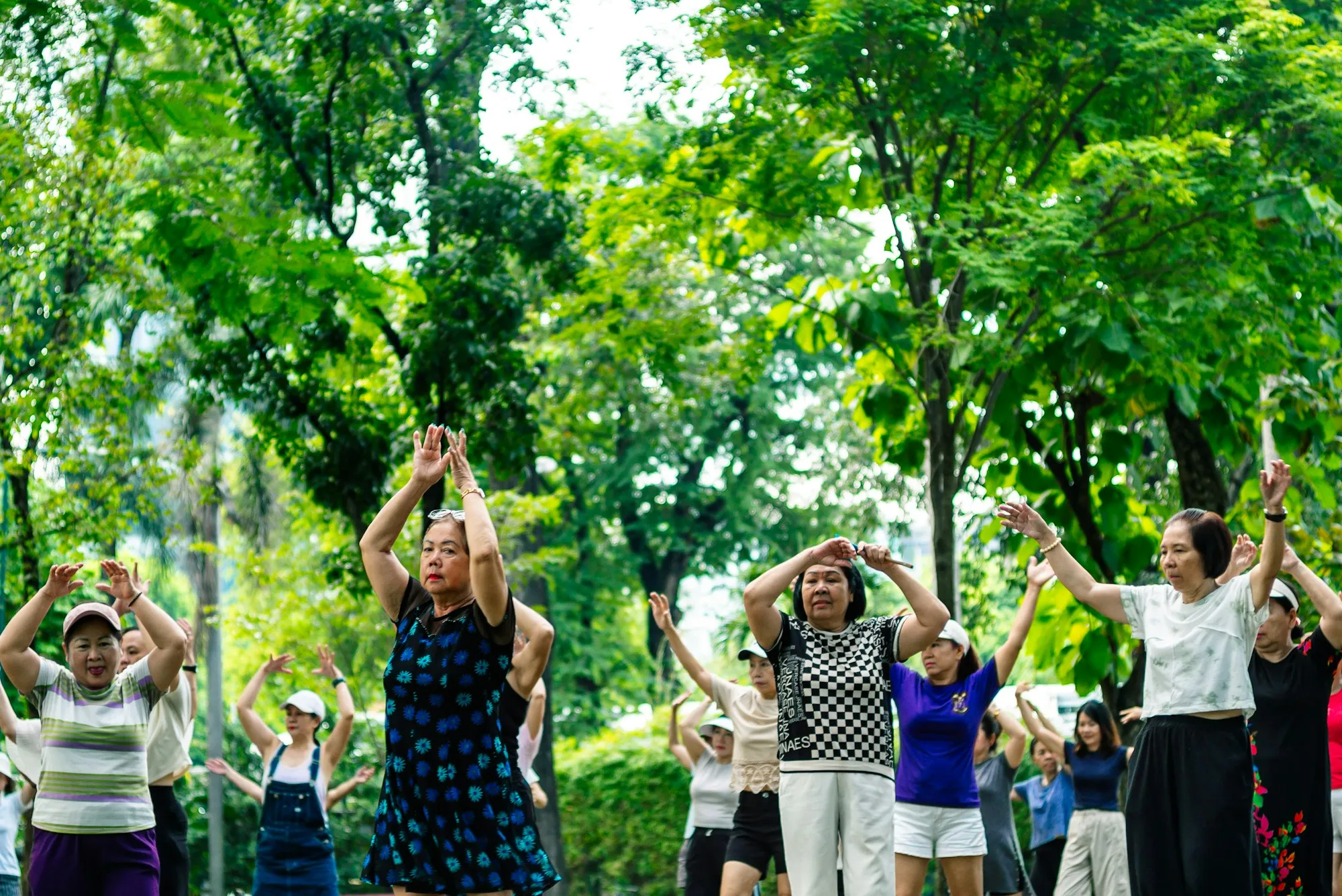 Un grupo de personas mayores hace ejercicio al aire libre en un parque