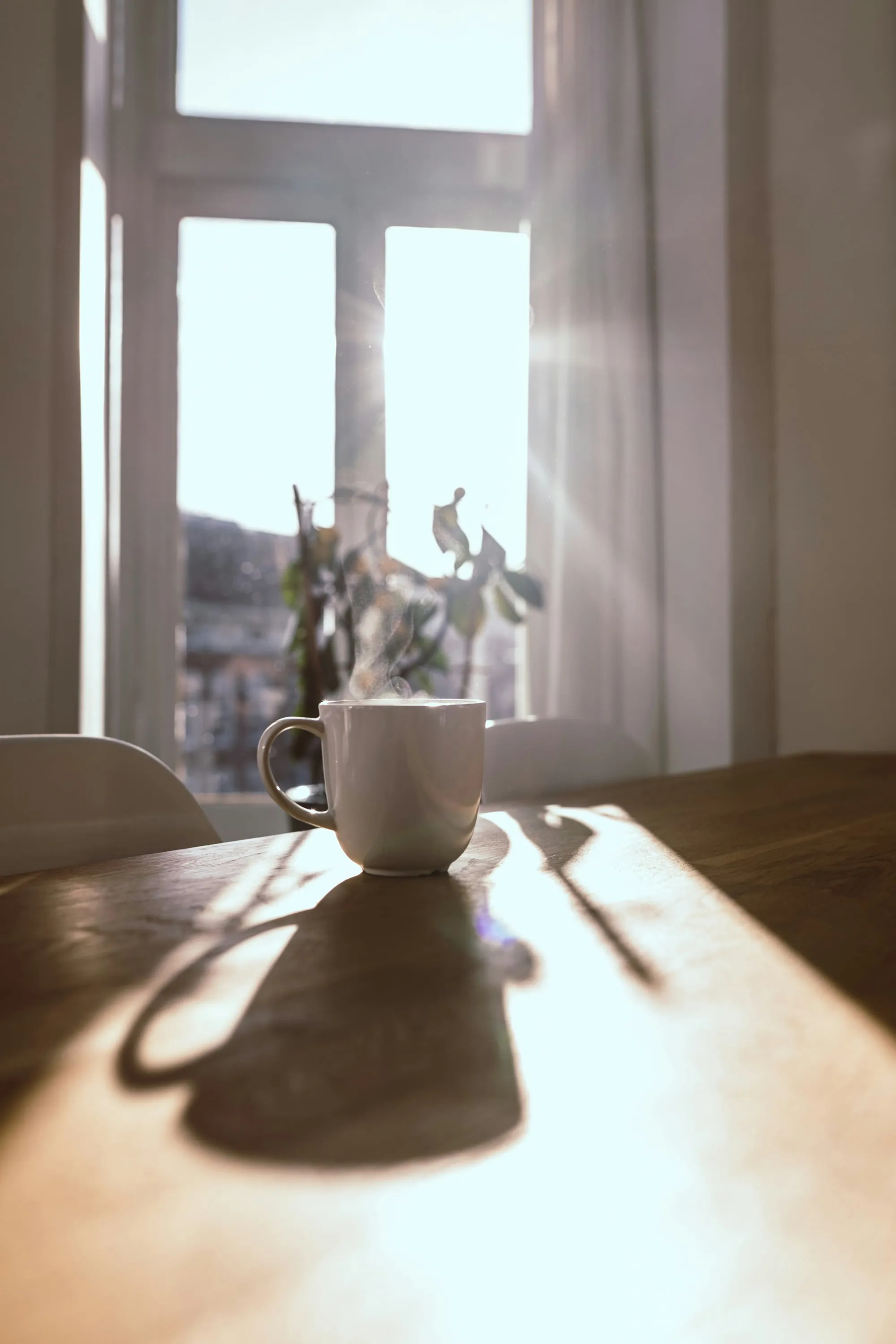 Una taza humeante sobre una mesa de madera, junto a una ventana con sol